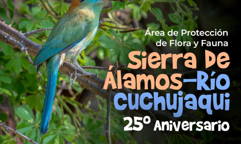 25 ANIVERSARIO DE LA SIERRA DE ÁLAMOS RÍO CUCHUJAQUI