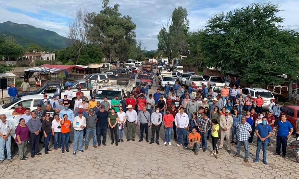 REALIZAN CON ÉXITO CUARTA CAMPAÑA DE DESCACHARRIZACIÓN