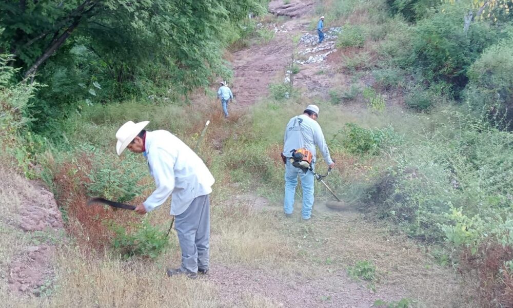 SERVICIOS PÚBLICOS MUNICIPALES LIMPIA Y DESMONTA TERRENOS