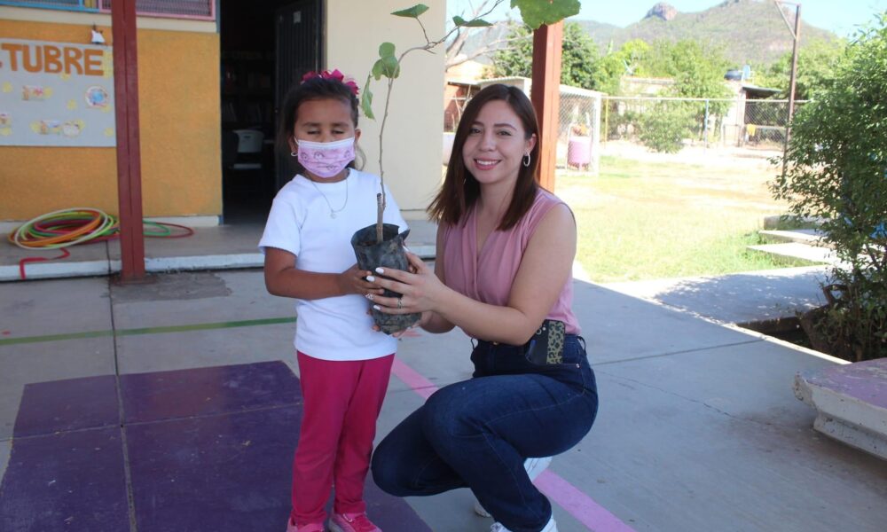 RECIBE PREESCOLAR ALFONSO ORTIZ TIRADO ARBOLITOS PARA SU REFORESTACIÓN