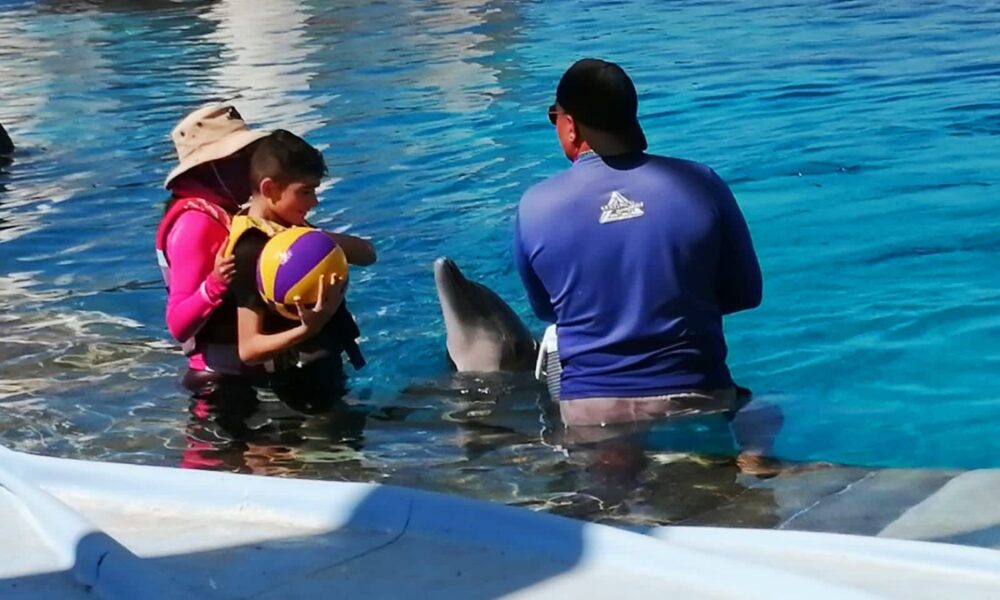 NIÑOS ALAMENSES RECIBEN TERAPIA ASISTIDA POR DELFINES