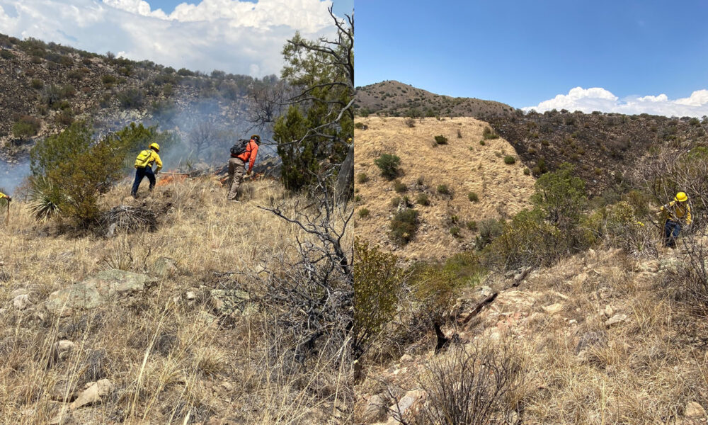 SE ROMPE RÉCORD DE INCENDIOS FORESTALES EN SONORA EN LO QUE VA DEL AÑO