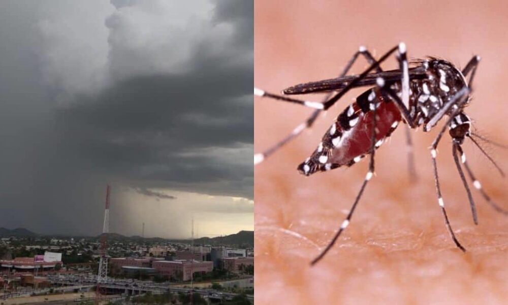 CON LAS LLUVIAS, LLAMAN A AUMENTAR MEDIDAS CONTRA EL DENGUE